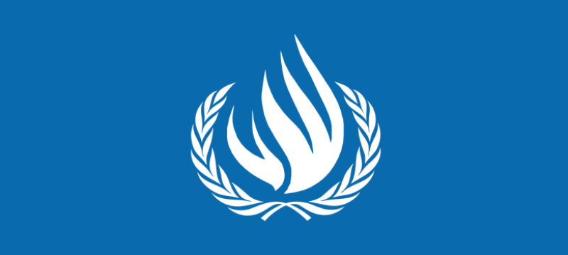 U.N. Declares Internet Access a Human Right
